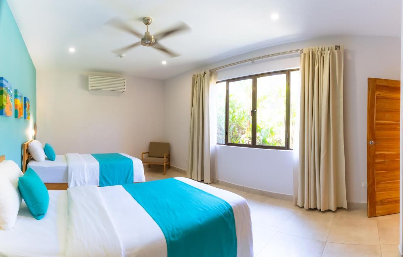 Motmot One King Bed Two single