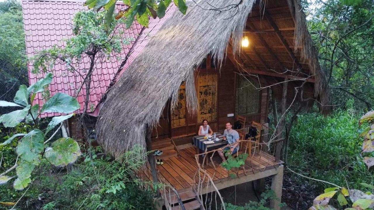 Magic Tree House,1600247934:JPEG