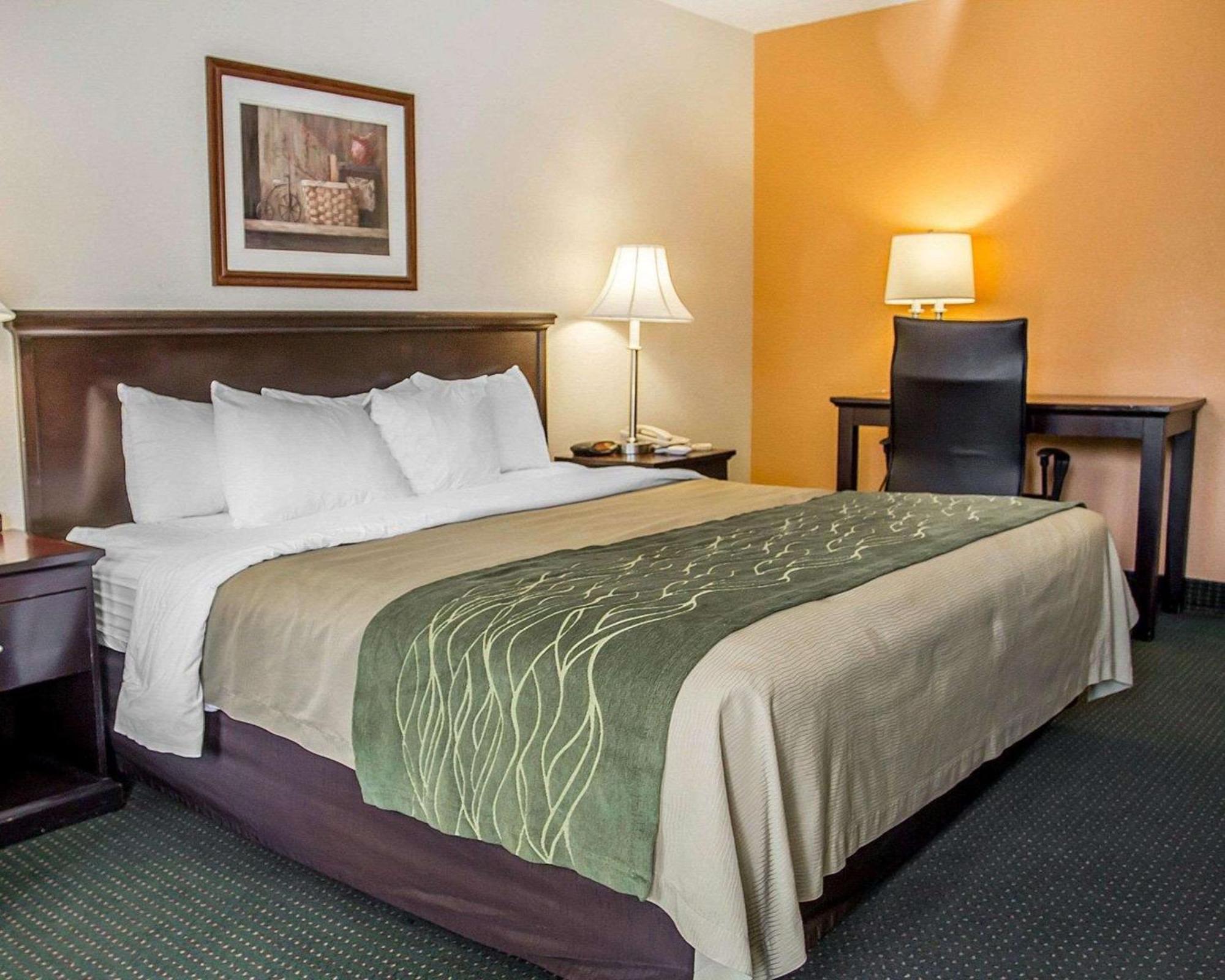 Standard Room, 1 King Bed with Sofa Bed, Non Smoking