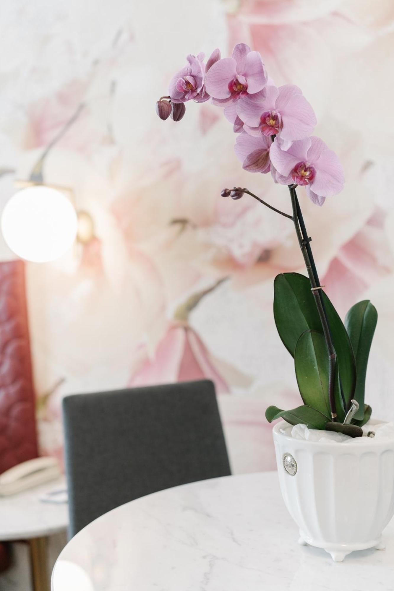 Suite avec Terrasse