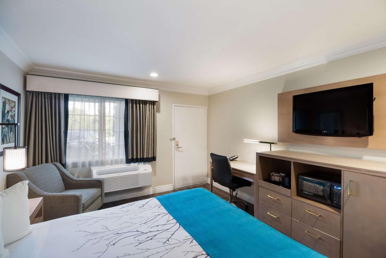 King Room Roll Shower Disability Access or Non-Smoking