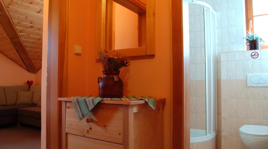 Double Room Disability Access Roll Shower