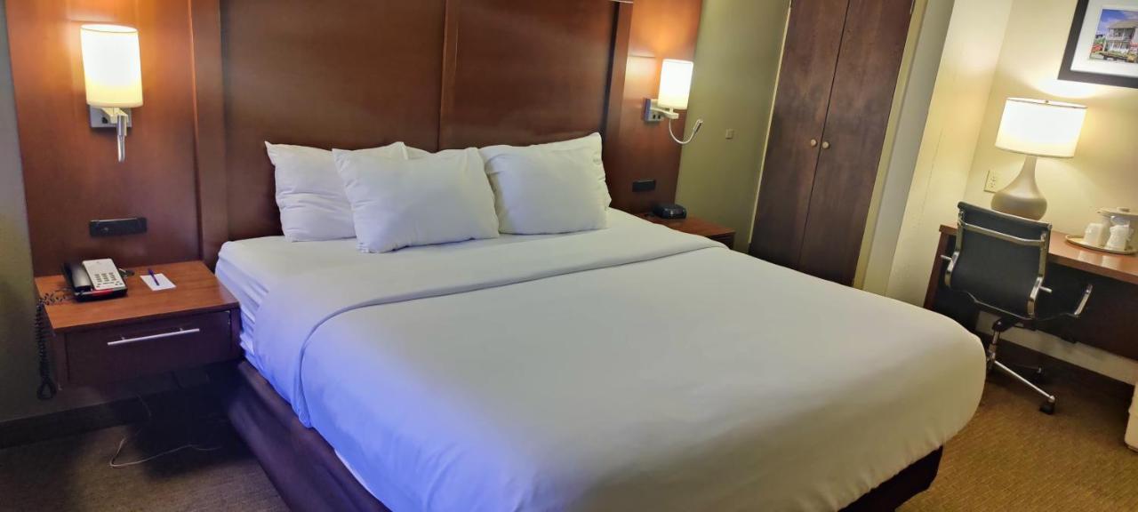 King Room with Courtyard View - Non Smoking
