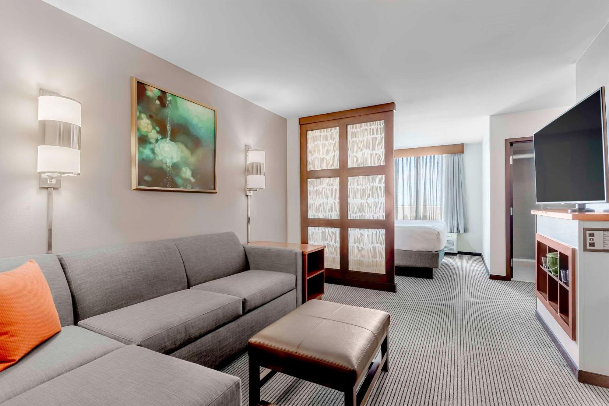 King Room Sofa Bed