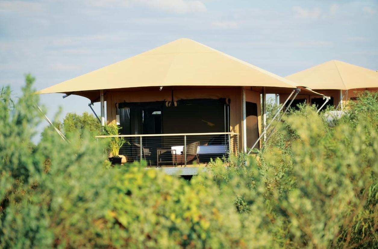 Garden View Eco Tent