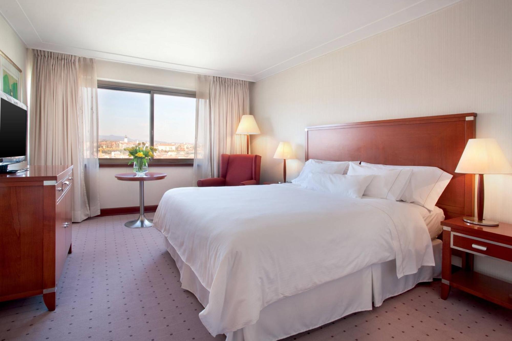 Suite Deluxe più Ampia con 1 Camera da Letto e Vista Città