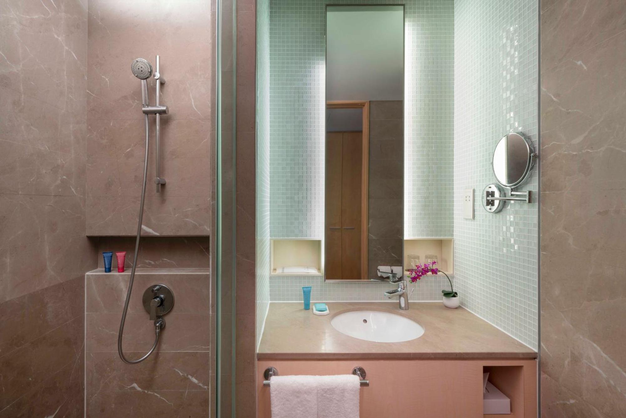 Deluxe Plus Double or Twin Room