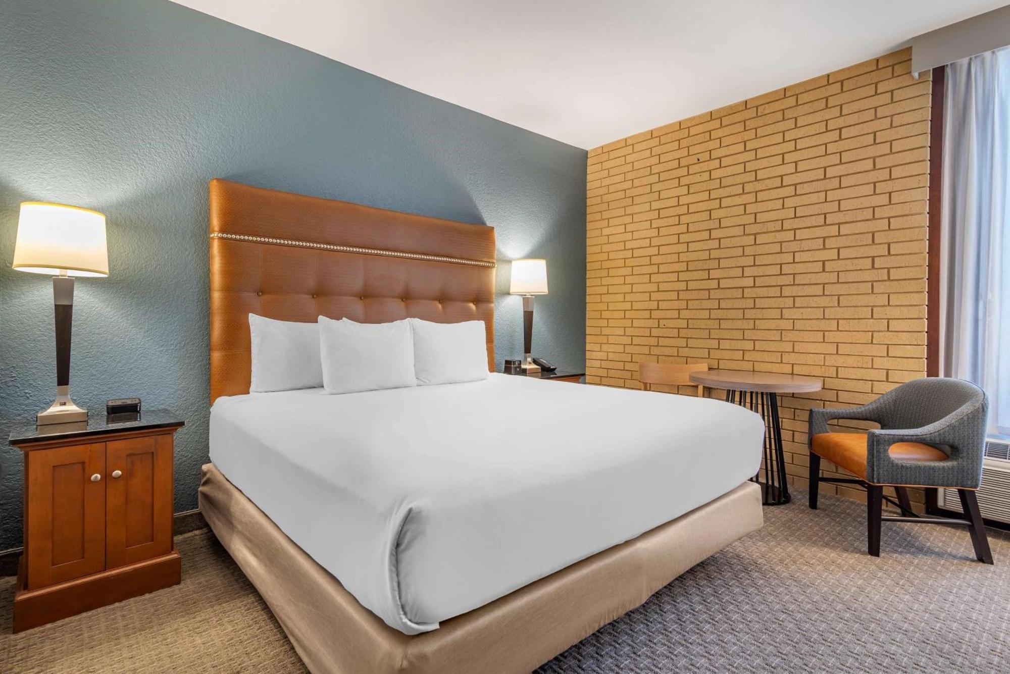 Deluxe King Room Accessible Roll Shower