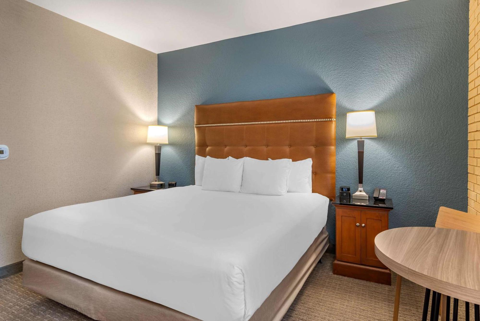 Deluxe King Room Accessible Roll Shower