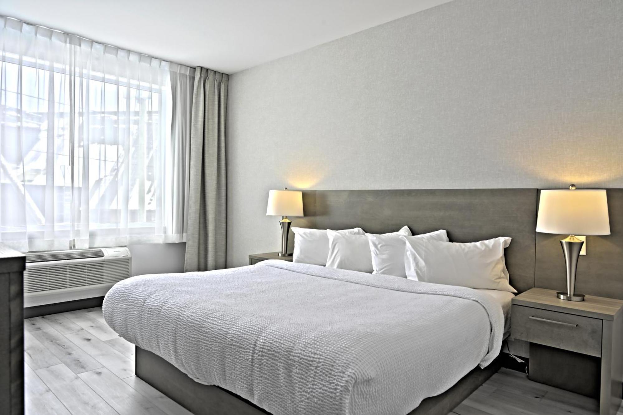 Standard Room 1 King Bed