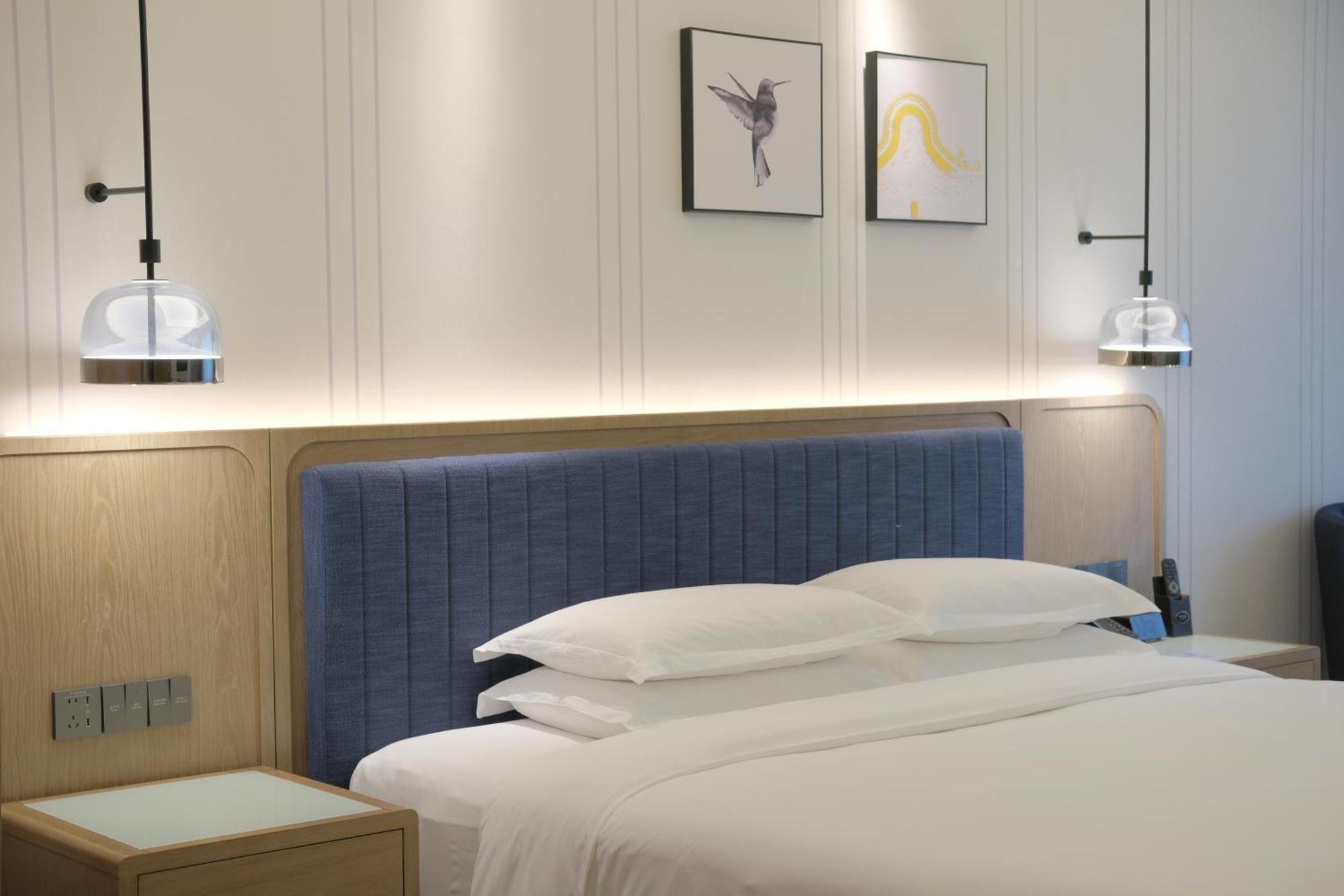 Standard King Room Accessible