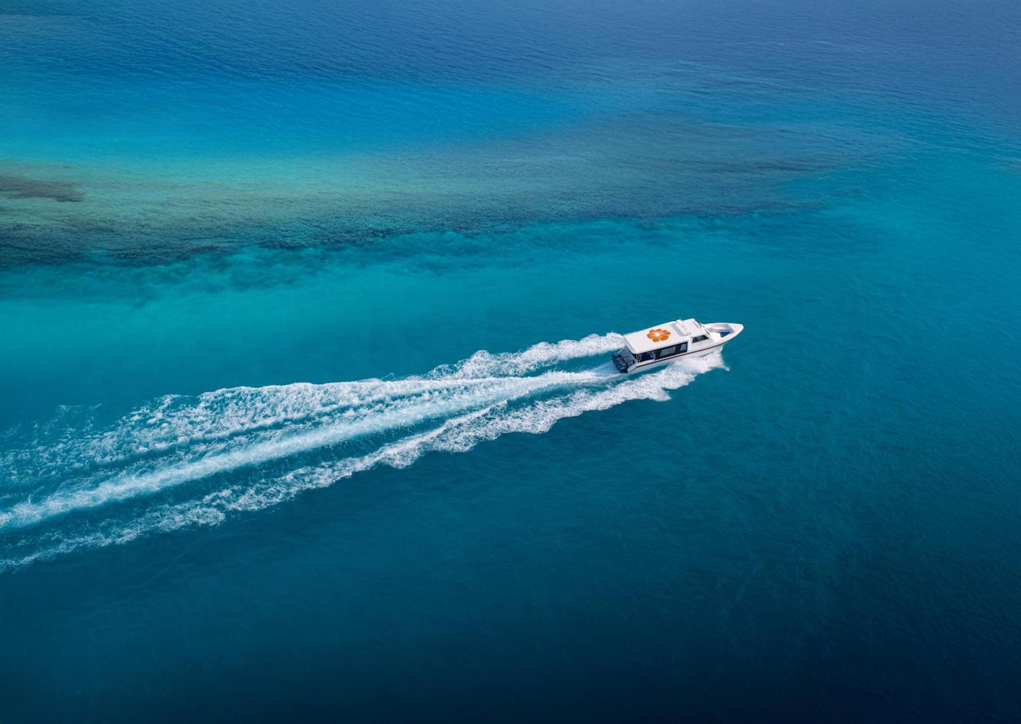 Deluxe Double Room Pool View Return Speed Boat Transfer Sand Bank Excursion & Dolphin Watching