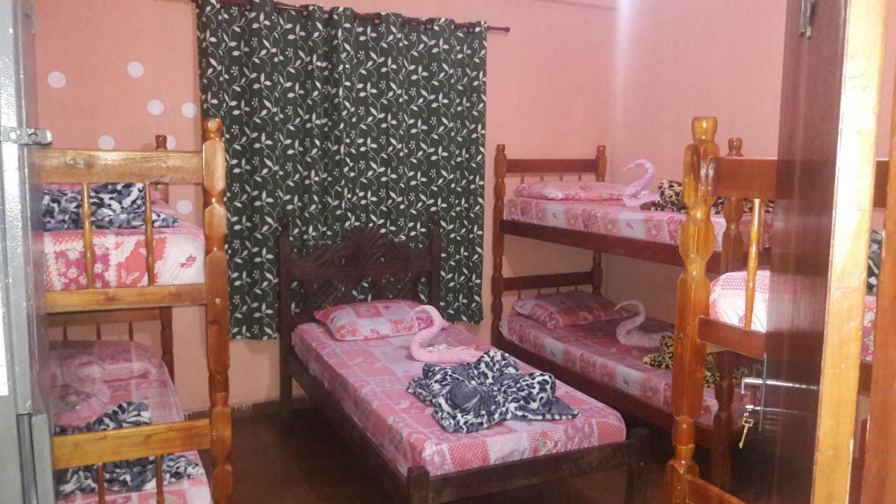 Bed 8-Bed Mixed Dormitory Room,535256745:JPEG