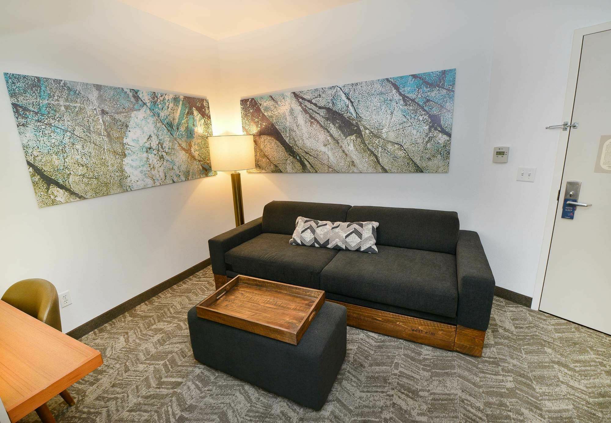 Queen Studio with Sofa Bed and Roll-in Shower - Mobility and Hearing Accessible