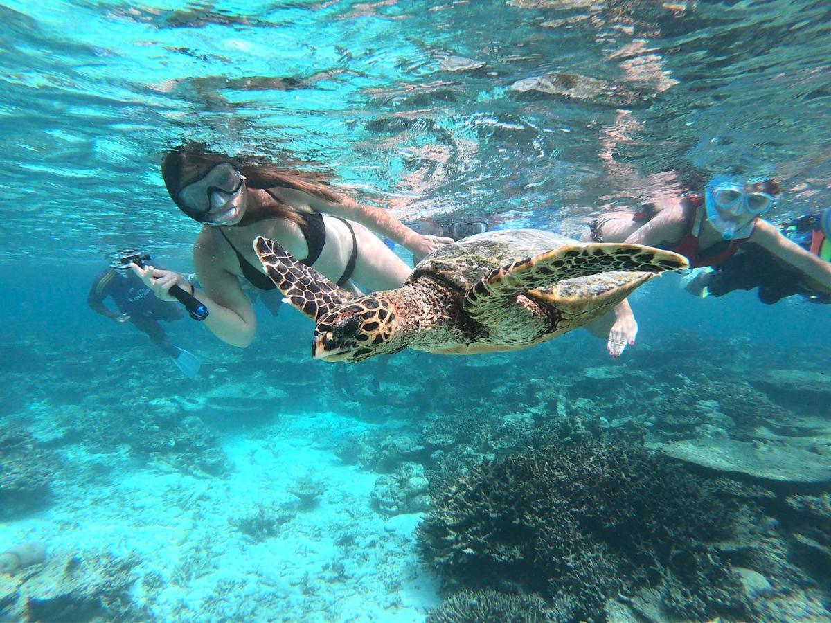 Quarto Duplo Deluxe com Varanda e Vista do Mar - Transfer Gratuito de Ida e Volta de Lancha, Excursão Gratuita pelo Banco de Areia e Observação de Golfinhos
