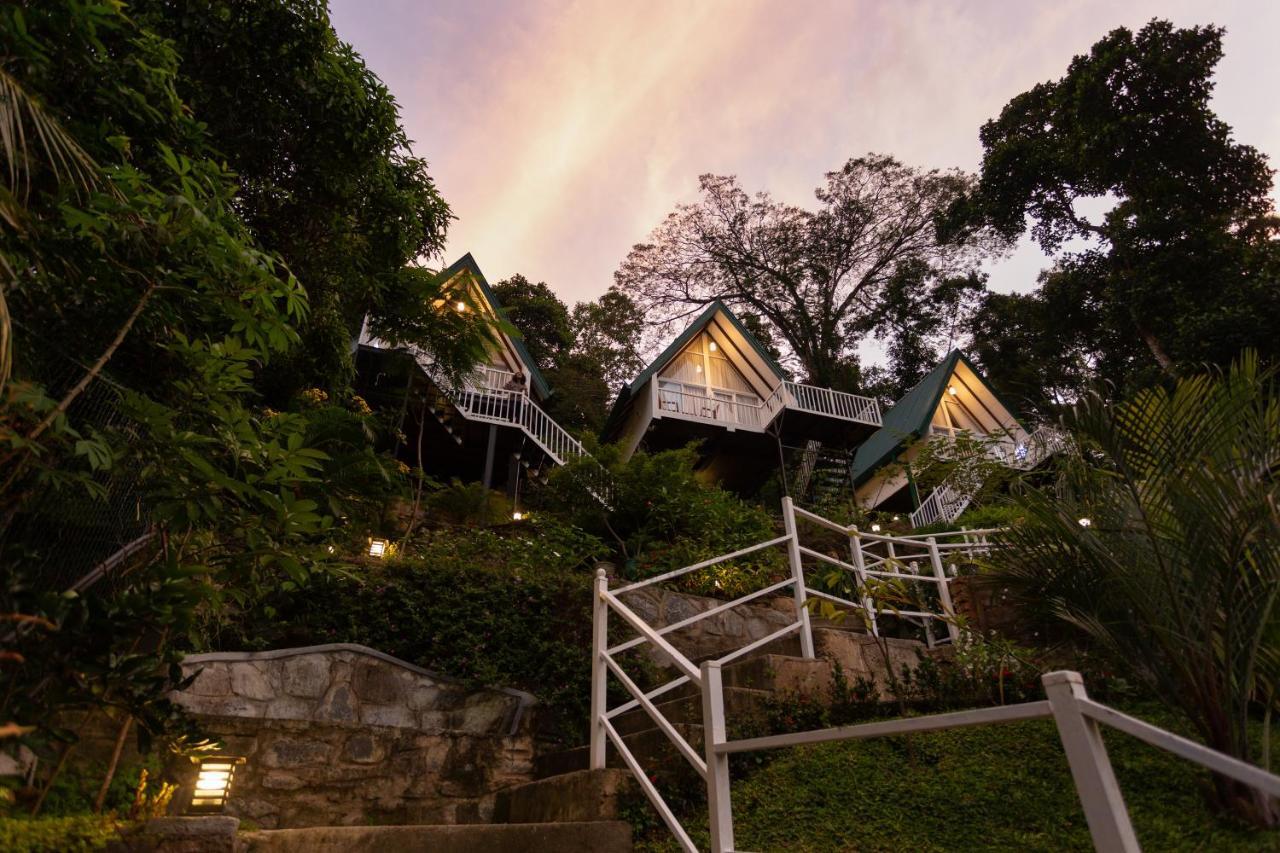 Superior Chalet
