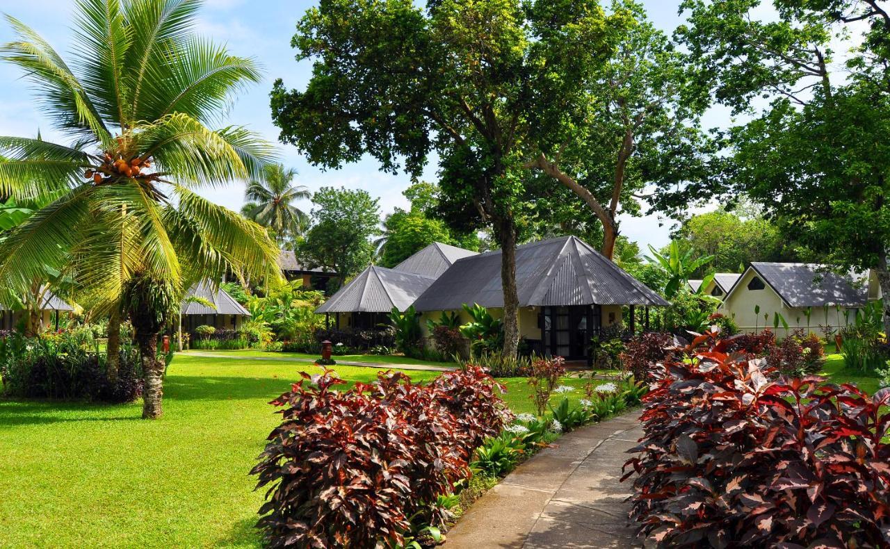 Bungalow Garden View,964565338:JPEG