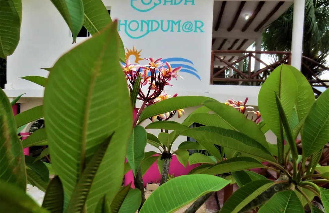 Posada Hondumar Holbox-1