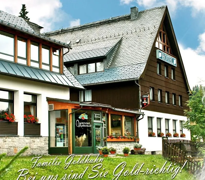 Ferienhotel Mühlleithen-1
