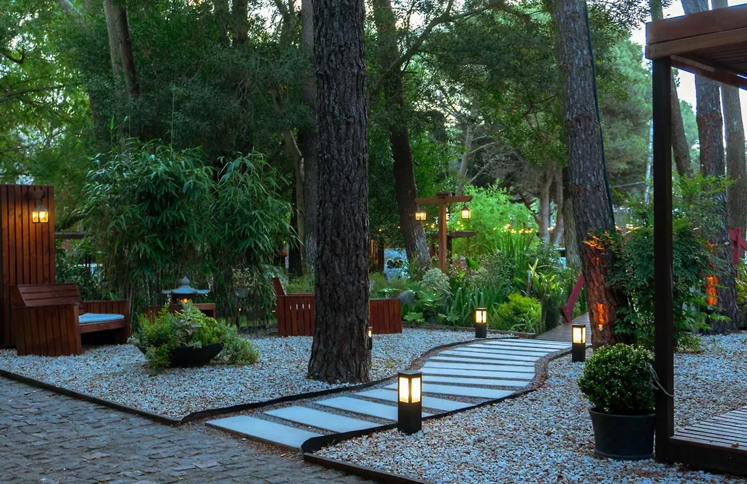 Mizu Hotel Boutique-1