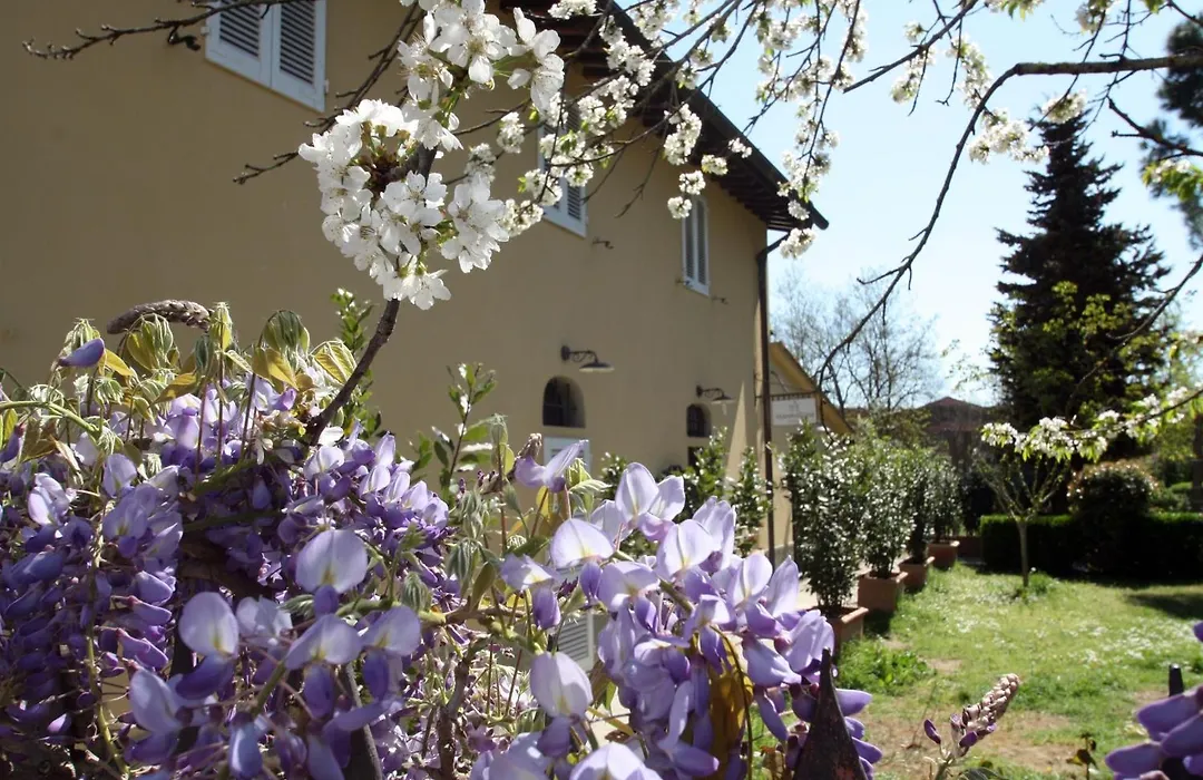 Hotel Calzaiolo-1