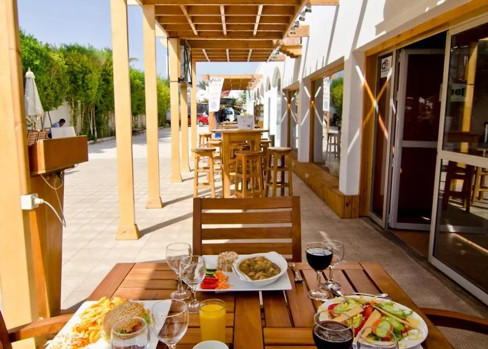 Oonas Dive Club-1