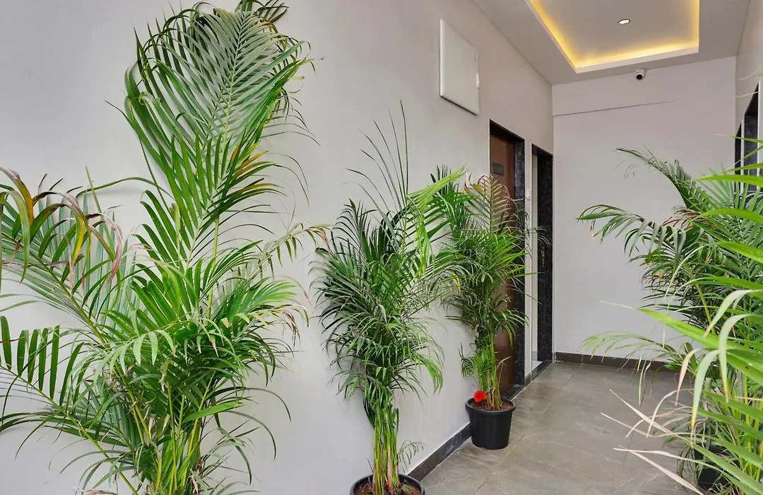 Hotel Sayba Executive-1