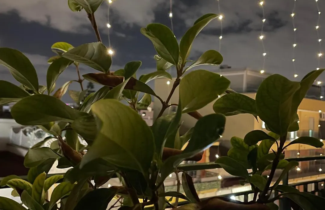 B&B D'Aponte Home Napoli Est Parcheggio Gratuito-1