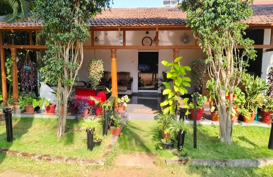 Plumeria Resort-1