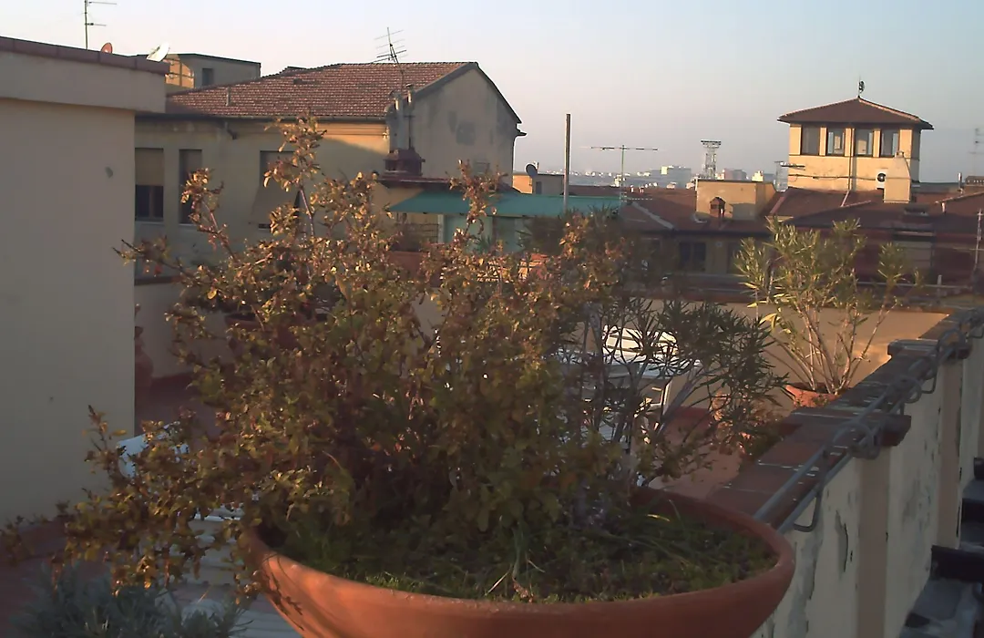 Annabella Hotel-1