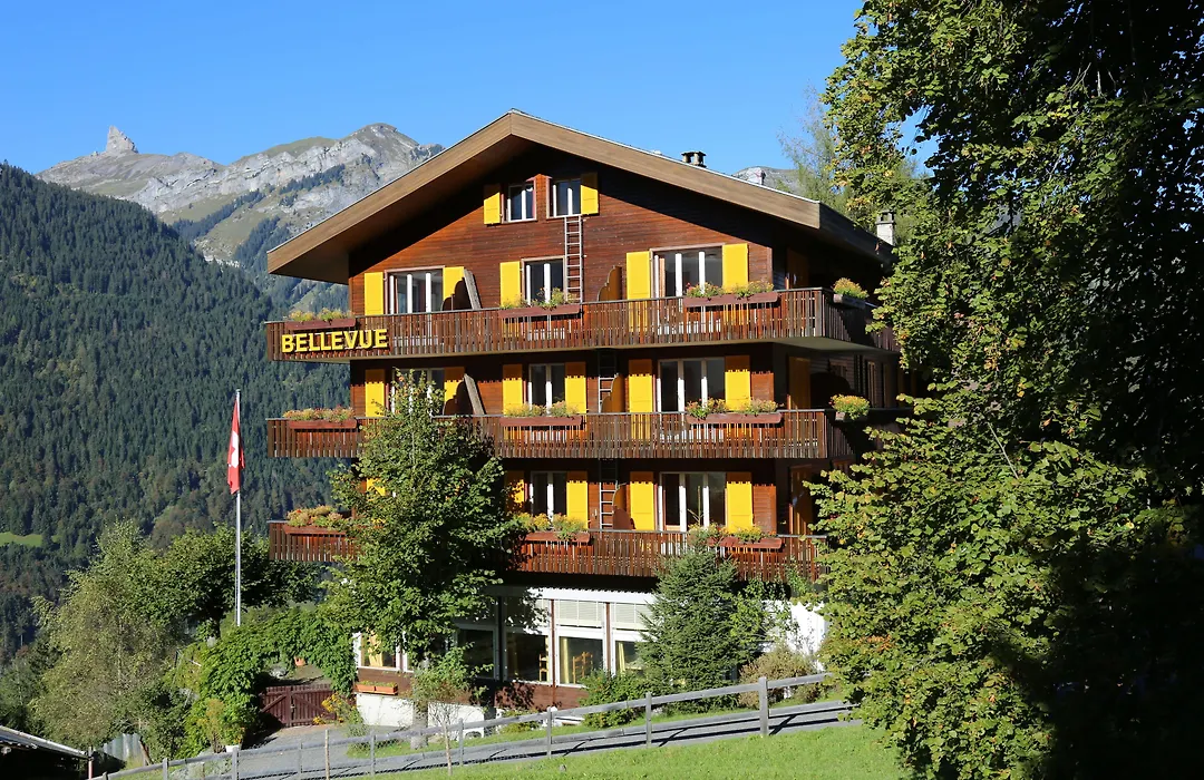Hotel Bellevue - Traditional Swiss Hideaway-1