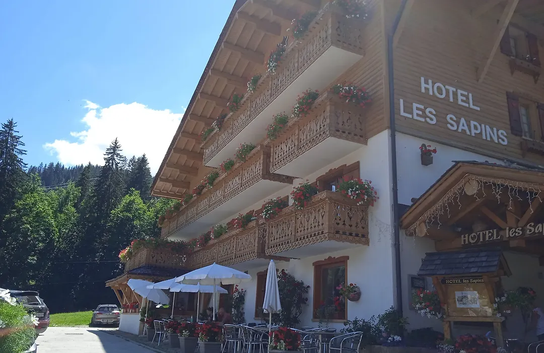 Hotel Les Sapins-1