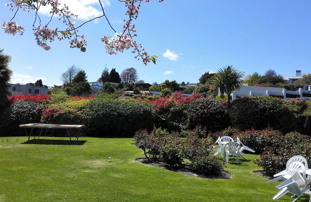 Phoenix Thermal Resort - Taupo-1