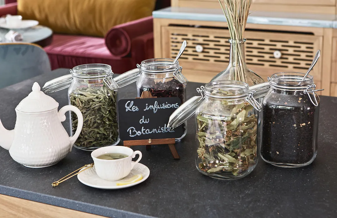 Hotel Botaniste-1