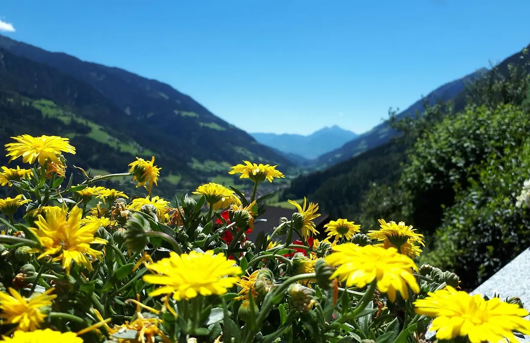 Gasthaus Jaufenblick-1