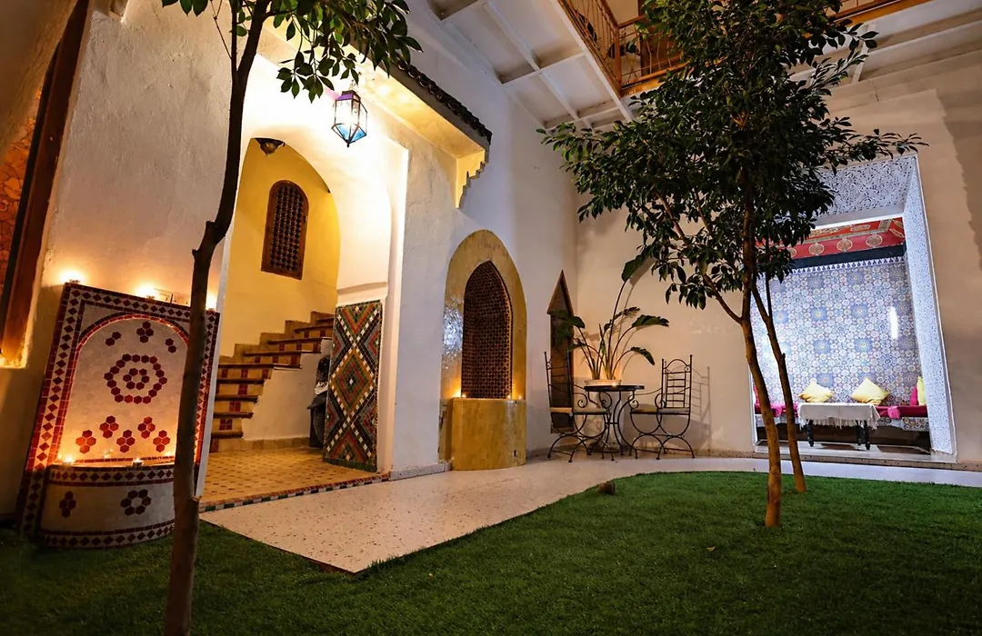 Riad O Ly-1