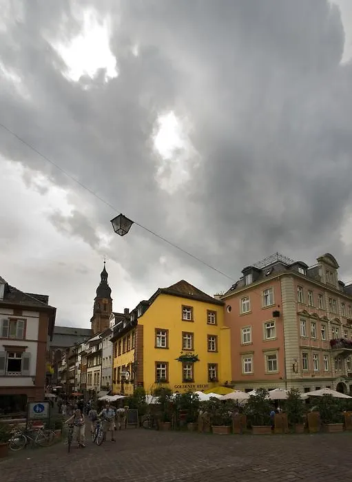 Hotel Goldener Hecht-1