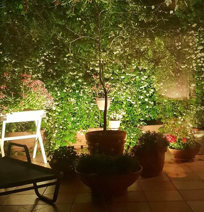 B&B Michelangelo-1