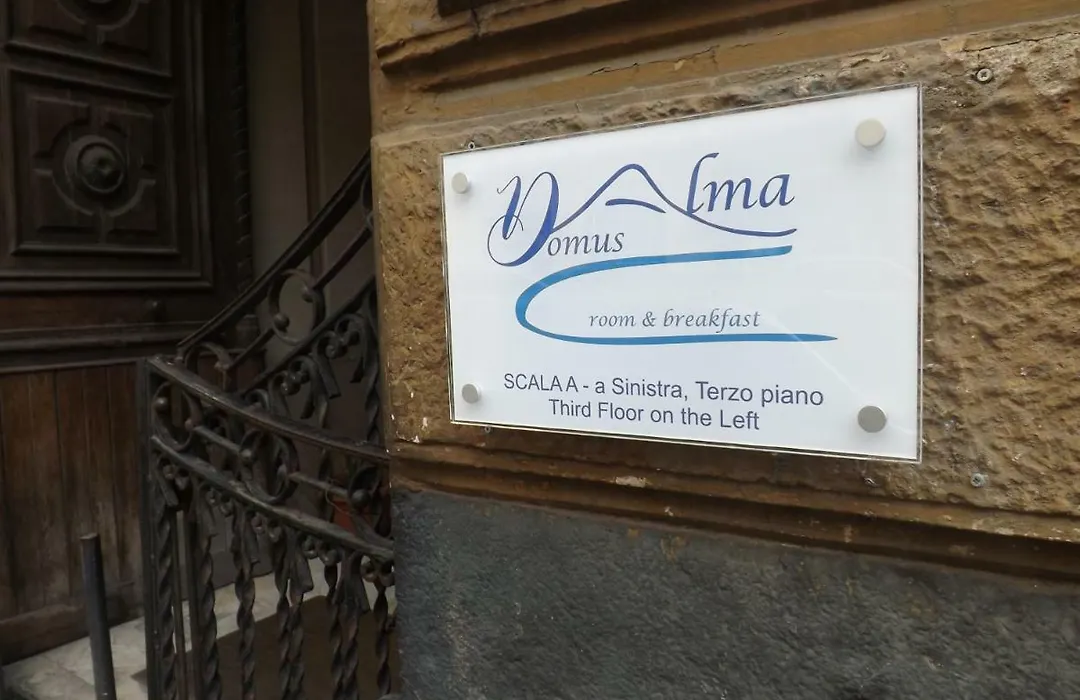 Domus Alma-1