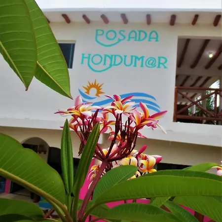Posada Hondumar Holbox-3