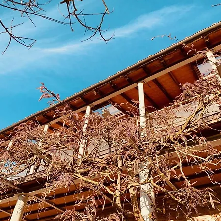 B&B La Fucinaia Pet Friendly (Adults Only)-3