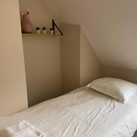 Maison des fleurs-2