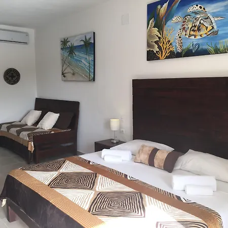 Basic Tulum-3