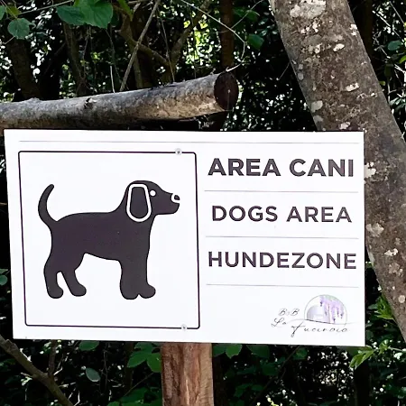 B&B La Fucinaia Pet Friendly (Adults Only)-2