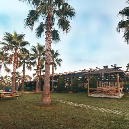 Royal Atlantis Beach-3