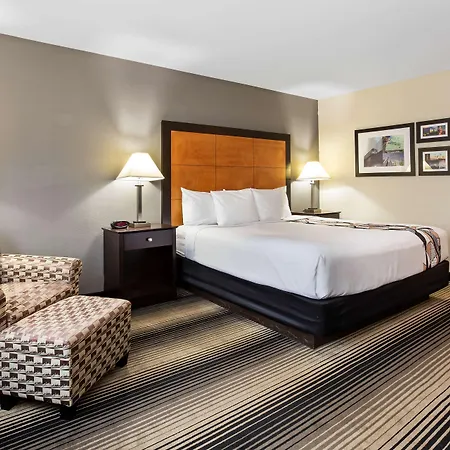 Best Western Plus Hyde Park Chicago Hotel-3