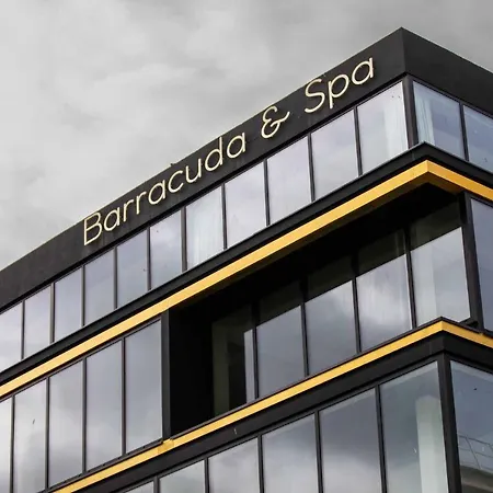 Le Barracuda&Spa, Centre Port, pieds dans l'eau, vue mer-3
