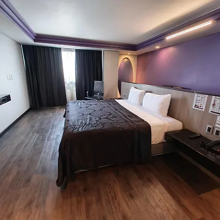 Hotel Max-3