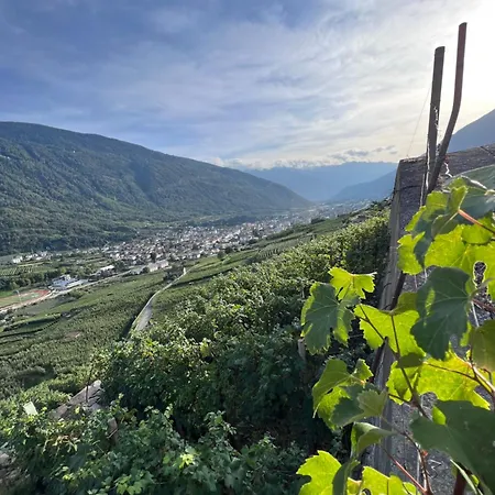 Sanmartino Suite-3