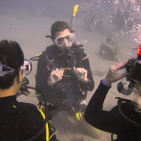 Oonas Dive Club-2